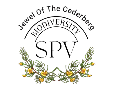 Jewel of the Cederberg Biodiversity SPV logo, a business consulting client of Her Legacy Consulting
